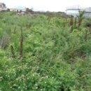 무릉리-7 이미지