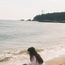 세븐일레븐 하조대 서피비치점 | 양양 하조대 찐 피자 맛집 : 싱글핀 에일웍스 + 서피비치