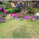 친환경황토민박 | 삼척독채펜션 자연과 하나 되는 친환경 펜션 여행기