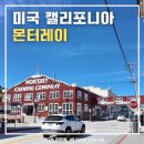 택스퍼블릭 | [🇺🇸미국 여행] 캘리포니아 몬터레이 당일치기 코스 (빅서, 샌프란시스코 근교)