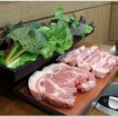 탐라새우 이미지