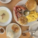 1102 | 동탄브런치카페 애견동반가능한 맨션1102 방문 후기