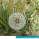 (주)준모 이미지
