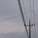 지평선모텔 이미지