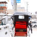 삿뽀르