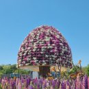 싱글벙글사 이미지