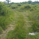 조천체육관 이미지