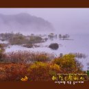 1111-금요무박)))용담호물안개가 낀 가을풍경+죽도 소나무+전주전동성당 이미지