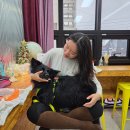 양마담이 만드는 버거 이미지