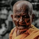 의료법인 평화의료재단 이미지