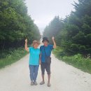 소야 - 제주시 서광로19길 21 | 소야