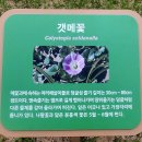 제153차 태안 낙월도,신두리 해안사구 이미지