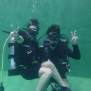 Bubble line 이미지