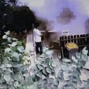 수원소방서 이미지