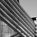 고대1109 이미지