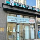 라온다이어트 | 누워서 하는 동탄 다이어트 셀포랩 라온점 솔직후기