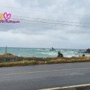 포항수영장 이미지