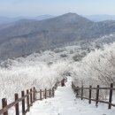 태백산민박 이미지