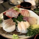 강남물고기