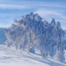 여주고등학교 이미지