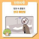 침대속 흡혈귀 빈대..예방법 이미지