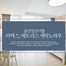 잉꼬세탁 이미지