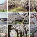 거창-북상-5 이미지