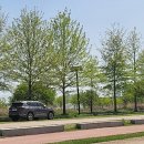 외간체육공원 이미지