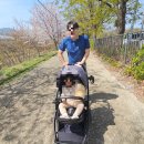 경마장 주유소 이미지