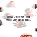 꿈꾸는 아로마 테라피 이미지