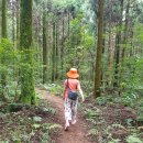 곶자왈칼국수 이미지