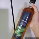 무설초발효원