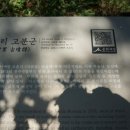 초촌리 고분군 이미지