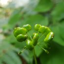 산양농장 이미지