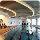 코나세르스파 이미지