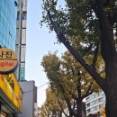 사임당로20길 5 (4) | 한남동 가성비 우마카세 <이속우화> 내돈내산 솔직 후기