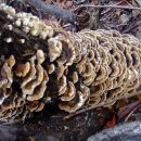 산중농원 이미지