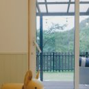 (주) 펫앤미 이미지