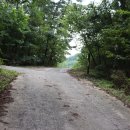 나루터 회관 이미지