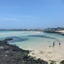 세화오일시장 이미지