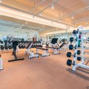 포짐 장기본점 이미지