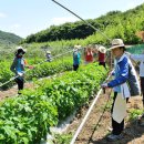 세종시_의회사무처 이미지