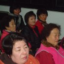 금산수삼센타 Daum카페
