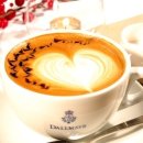 달콤한 민들레의 속 이미지