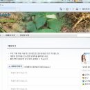 카페온 이미지