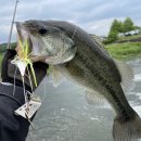 청도천10 이미지