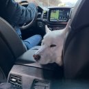 위드제이(WITH J) 이미지