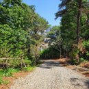 아라센트럴파크 이미지