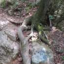 화북초교 이미지