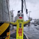 선비꽈배기